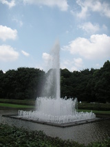 47162c52.jpg