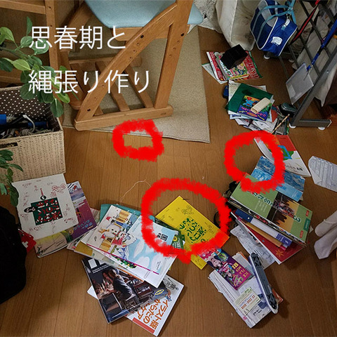 BlogPaint