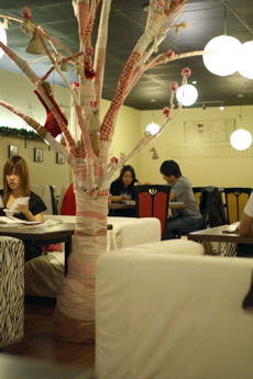 Borandsi Cafe4