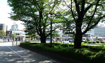 CA3C4309