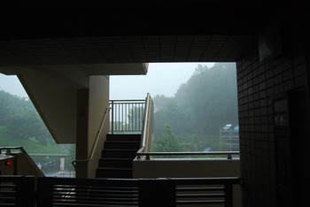 DSC_7836