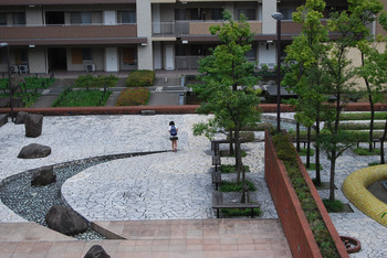 DSC_8001