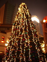 新天地クリスマスツリー
