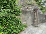 CIMG0142