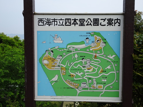 DSC00959