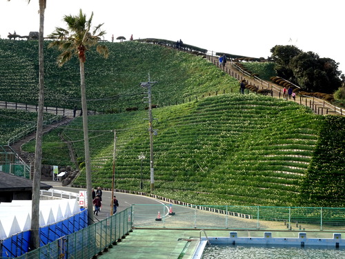 DSC00494