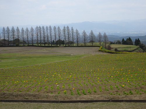 DSC00907