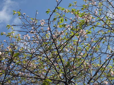 DSC06748