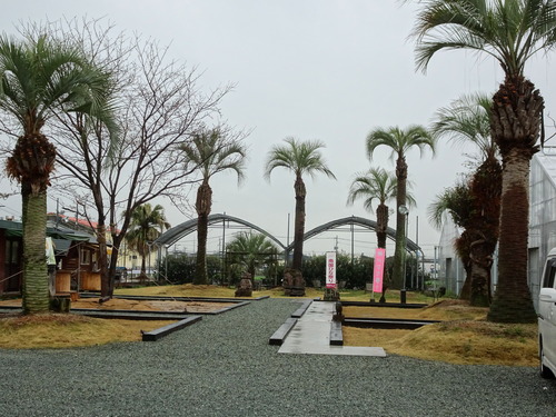 DSC00764
