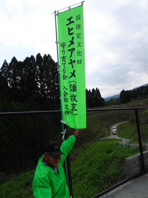 DSC00918