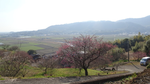 DSC00417