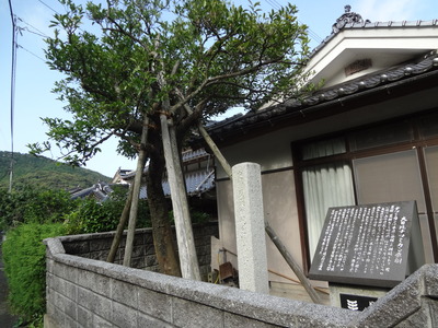 DSC06363