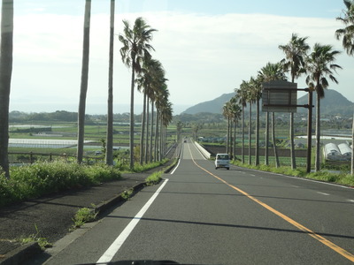 DSC06713