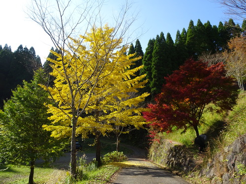 DSC00214-001