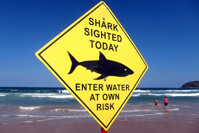 shark-warning-australia