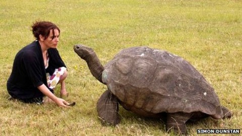 _73558107_tortoise_jb464