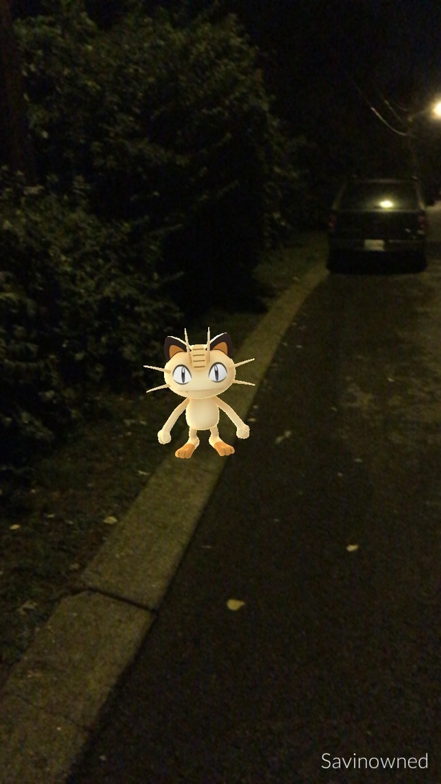 ad7aa6f5f5a74cbd805a744011049f1e