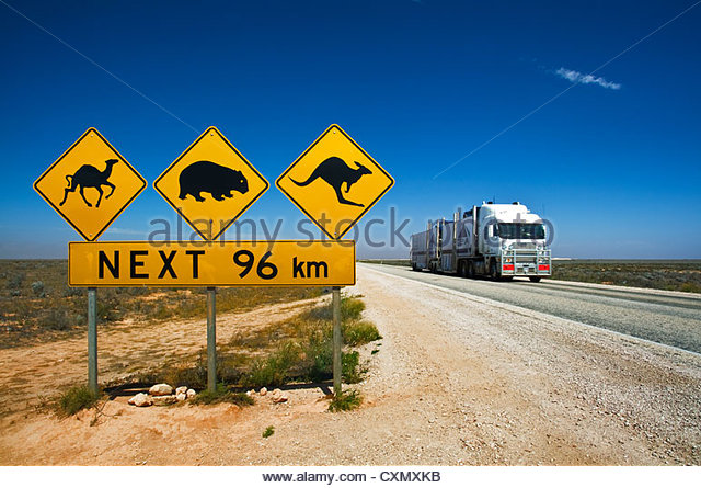 wildlife-raod-sign-at-eyre-highway-cxmxkb