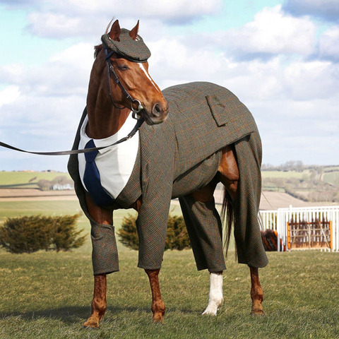 horse-suit2