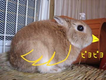 ����� 3