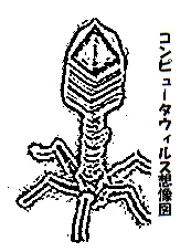 ウィルス