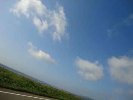 DSC00491