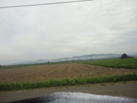 DSC00653