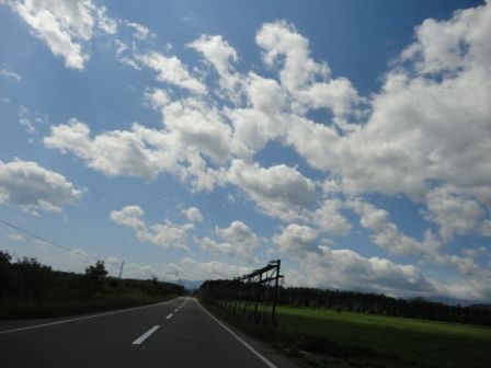DSC00530