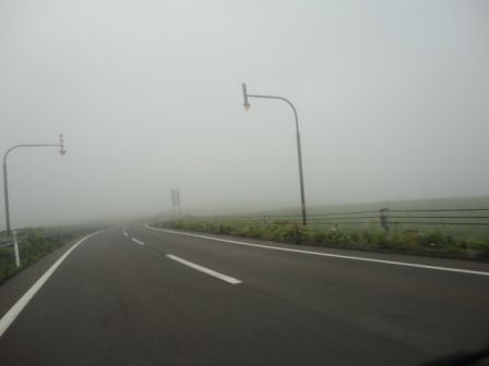 DSC00767