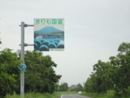 DSC00695
