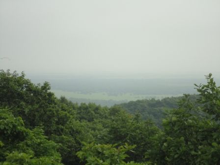 DSC00703
