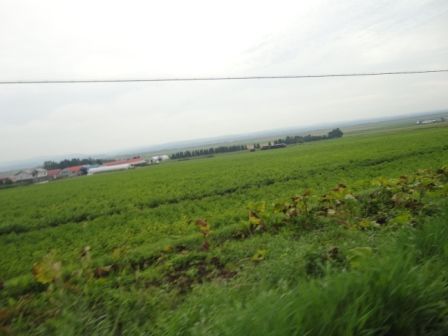 DSC00657