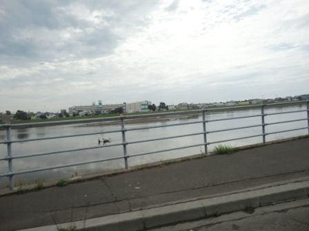 DSC00717