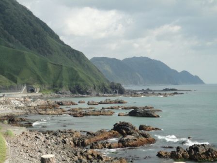 DSC00503