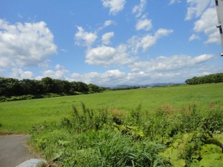 DSC00537