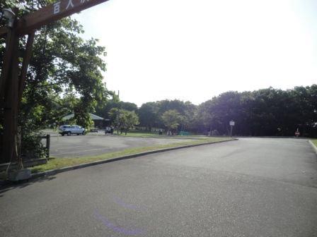 DSC00482