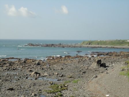 DSC00500