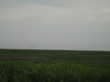 DSC00775