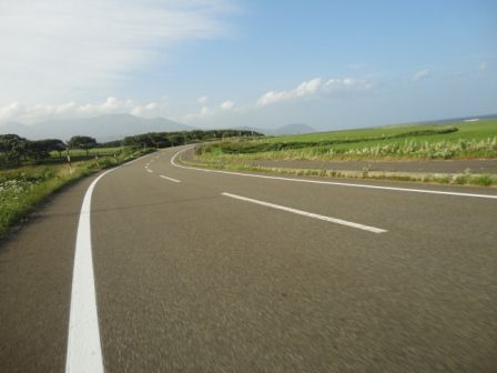 DSC00476