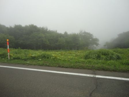 DSC00759