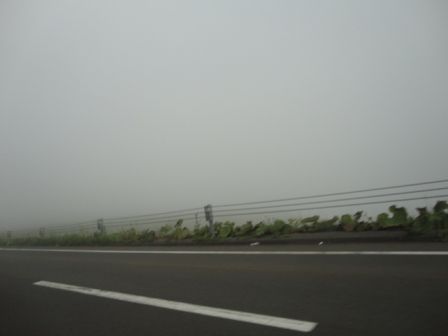 DSC00766