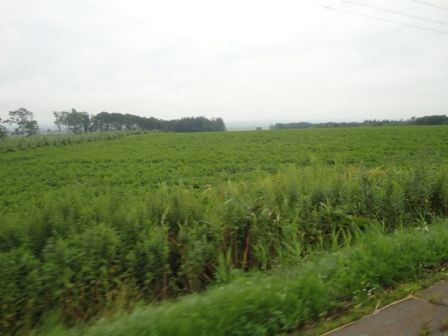 DSC00655