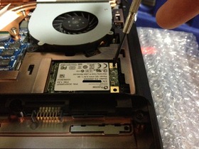 photo_2