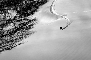 2010_0205_NK