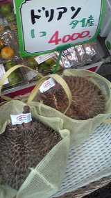 b2c0a852.jpg