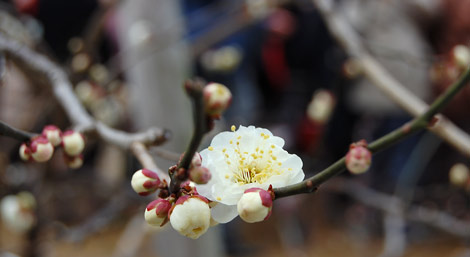 blog080225-7