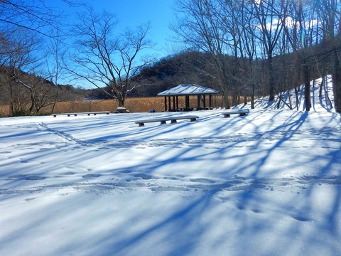 DSCN2583