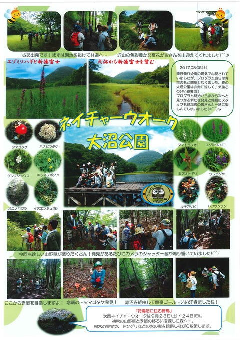 20170806150307159_0001