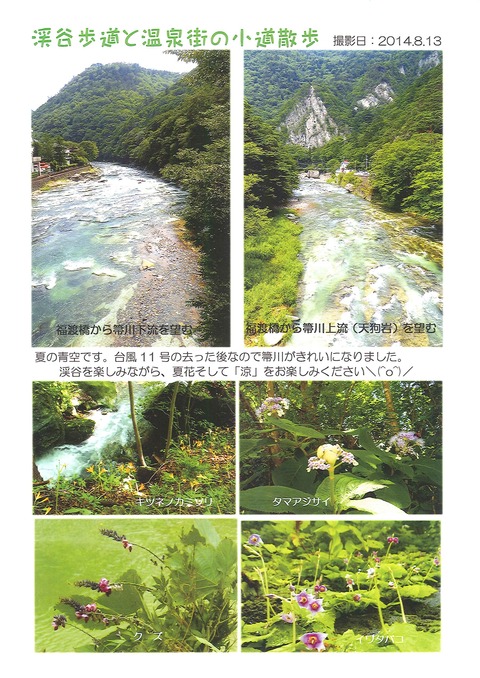 20140813151115232_0002