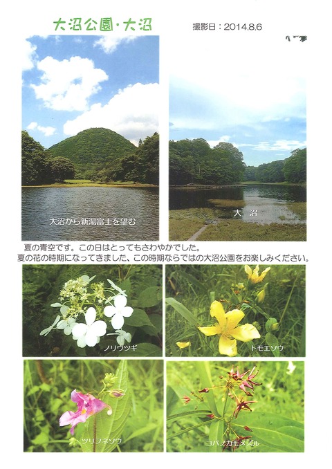 20140813151115232_0003